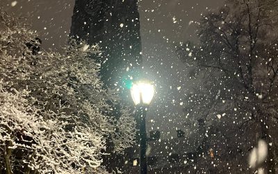 Beyond a Critique of Advent